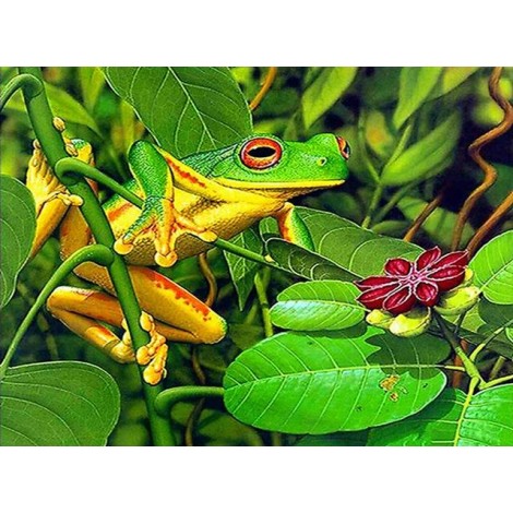 2019 Full Drill 5D Diy Embroidery Diamond Painting Kits UK Frog NA0129