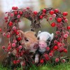 Special Pig 5D Diy Embroidery Cross Stitch Diamond Painting Kits UK NA0321