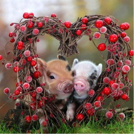 Special Pig 5D Diy Embroidery Cross Stitch Diamond Painting Kits UK NA0321