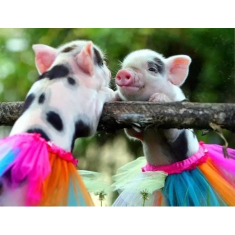 Cheap Full Drill Pig 5D Diy Diamond Painting Kits UK NA0331