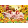 Funny Pig 5D Diy Embroidery Cross Stitch Diamond Painting Kits UK NA0334