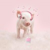 Special Pig 5D Diy Embroidery Cross Stitch Diamond Painting Kits UK NA0338