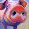 Oil Painting Style Full Drill Pig 5D Diy Diamond Painting Kits UK NA0345