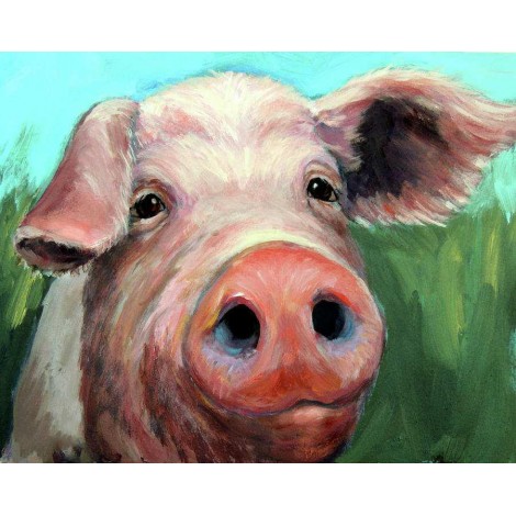 Special Pig 5D Diy Embroidery Cross Stitch Diamond Painting Kits UK NA0347