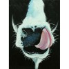 2019 New Cow 5D Diy Embroidery Cross Stitch Diamond Painting Kits UK NA0172