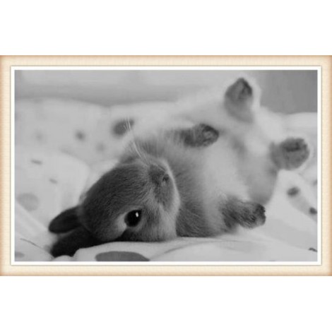 Black White Rabbit Diamond painting Diy Needlework Mosaic VM90567