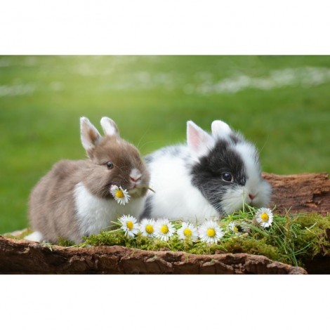 5D Diy Rabbits Diamond Embroidery Needlework Rhinestone Mosaic Kits VM88522
