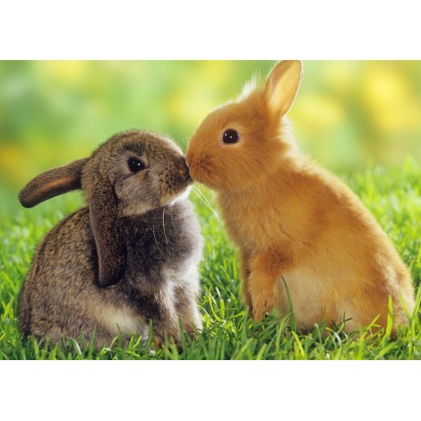 For Beginners Full Drill Rabbit 5D Diy Diamond Painting Kits UK NA0221