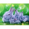 Dream Full Square Drill Rabbit 5D Diy Cross Stitch Diamond Painting Kits UK NA0262