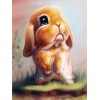 2019 Cheap Cute Rabbit Animal Picture 5d Diy Diamond Painting Kits UK VM8205
