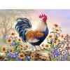 Hot Sale Oil Painting Style Cock 5D Diy Diamond Painting Kits UK NA0271