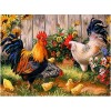 5d Oil Painting Style New Arrival Cock In Garden 5d Diamond Painting Kits UK VM8557
