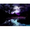 Dream Night View & Wolf 5D Diy Diamond Painting Kits UK VM90926