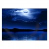 Various Sizes Blue Moon Night Diamond Painting Kits AF9671