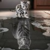 Hot Sale Black White Cat's Dream To Tiger 5d Diy Diamond Painting Kits VM0004