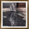 Hot Sale Black White Cat's Dream To Tiger 5d Diy Diamond Painting Kits VM0004