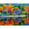 Home Decorate Hot Sale Natural Forest 5d Diy Diamond Painting Kits UK VM7211