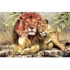 2019 Hot Sale Family Lions 5d Diy Diamond Painting Kits UK VM7791