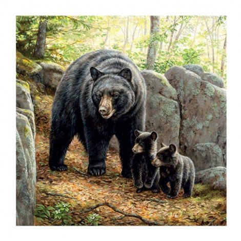 2019 Cheap Pattern Bear Family Diy 5d Diamond Painting Kits UK VM6208