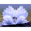 2019 New Hot Sale Animal Swan 5d Diy Diamond Painting Kits UK VM9200