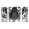 2019 Wall Decor Large Size Tiger Diamond Painting Cross Stitch Kits Uk VM77169