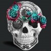 Cheap Colorful Modern Art Skull Pattern Diy 5d Full Diamond Painting Kits UK QB6020