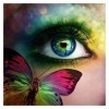 Dream  Colored Beautiful Eyes And Butterfly Diy 5d Diamond Painting UK VM1223