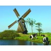 Cheap Full Drill Windmill 5d Diy Cross Stitch Diamond Painting Kits UK NA0974