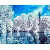 Hot Sale 5D DIY Diamond Painting Kits  Snow Scenic Forest VM91055