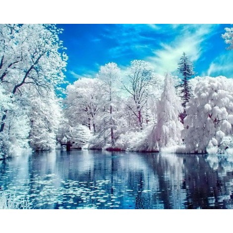 Hot Sale 5D DIY Diamond Painting Kits  Snow Scenic Forest VM91055
