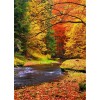 2019 Dream Landscape Forest Lake 5d Diy Diamond Painting Kits UK VM9467