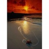 Hot Sale Quiet Beautiful Beach Sunset Diamond Painting Kits UK Af9723
