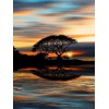 2019 Dream Lake Tree Sunset 5d Diy Diamond Painting Kits UK VM9698