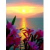 2019 New Hot Sale Landscape Sea Sunset 5d Diy Diamond Painting Kits UK VM9697