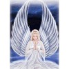 New Hot Sale Gift Pretty Angel Diy 5D Embroidery Diamond UK VM1141
