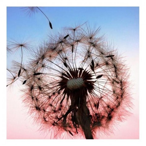 Special Dandelion Diy 5d Crystal Diamond Painting Kits UK QB5152