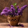 2019 Special Free Shipping Lavender 5d Diy Diamond Painting Flower Kits UK VM3573