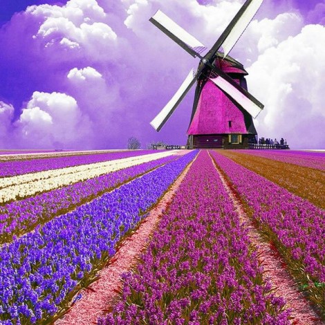 2019 Dream Landscape Nature Lavender 5d Diy Diamond Painting Kits UK VM8139