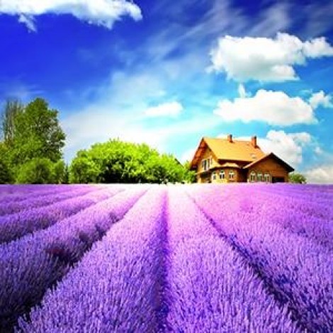 2019 New Hot Sale Lavender Fields Picture 5d Diamond Painting Kits UK VM8693