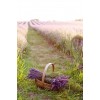 2019 Lavender Fields 5D Diy Cross Stitch Diamond Painting Kits UK NA0049