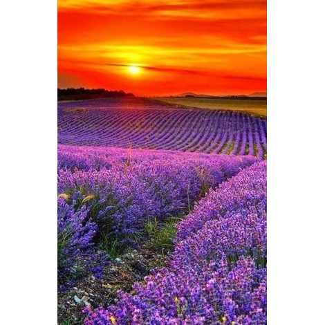2019 Dream Lavender Fields 5D Diy Cross Stitch Diamond Painting Kits UK NA00358