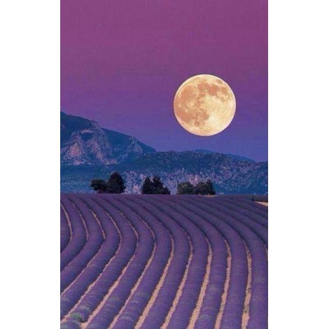 2019 Dream Lavender Fields 5D Diy Cross Stitch Diamond Painting Kits UK NA00359