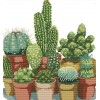 Special Plant Cactus 5D Diy Embroidery Cross Stitch Diamond Painting Kits UK NA0343