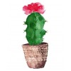 New Cartoon Cactus 5D DIY Embroidery Cross Stitch Diamond Painting Kits UK NA00083