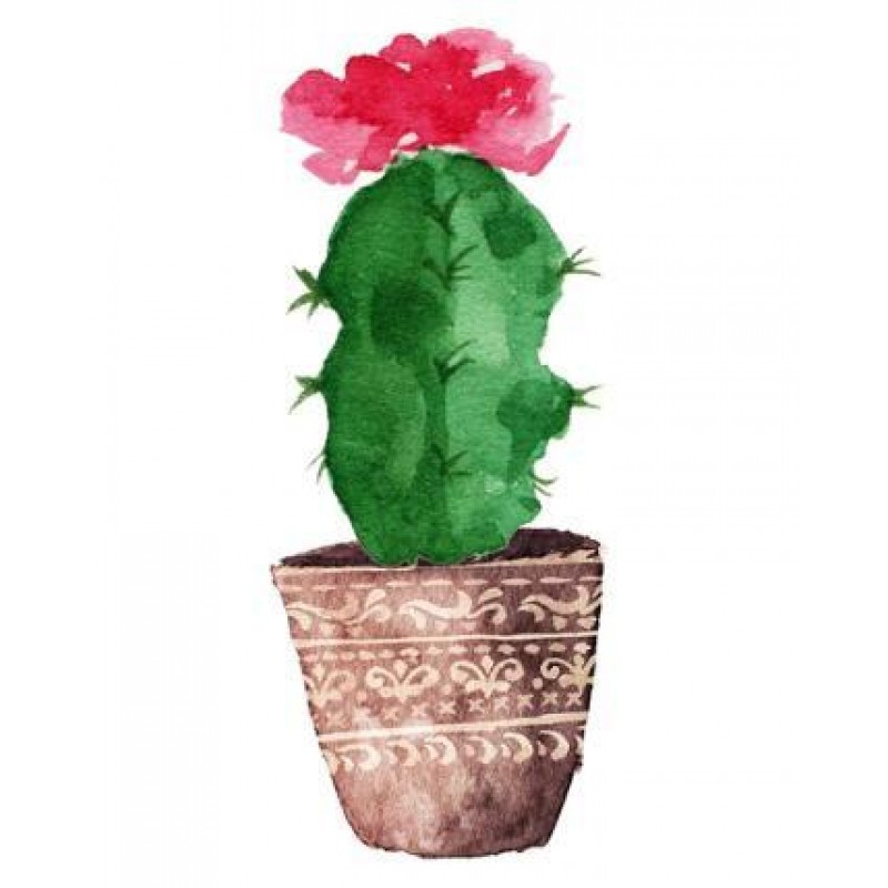 New Cartoon Cactus 5...