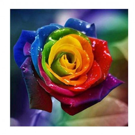 Dream Series Pretty Colorful Rose Diamond Painting Kits UK AF9309