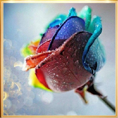 Romantic Colorful Rose Petals With Water droplets Diamond Painting Kits UK AF9301