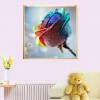 Romantic Colorful Rose Petals With Water droplets Diamond Painting Kits UK AF9301