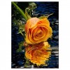 Pretty Gold Rose With Water Reflection Diamond Painting Kits UK  AF9348