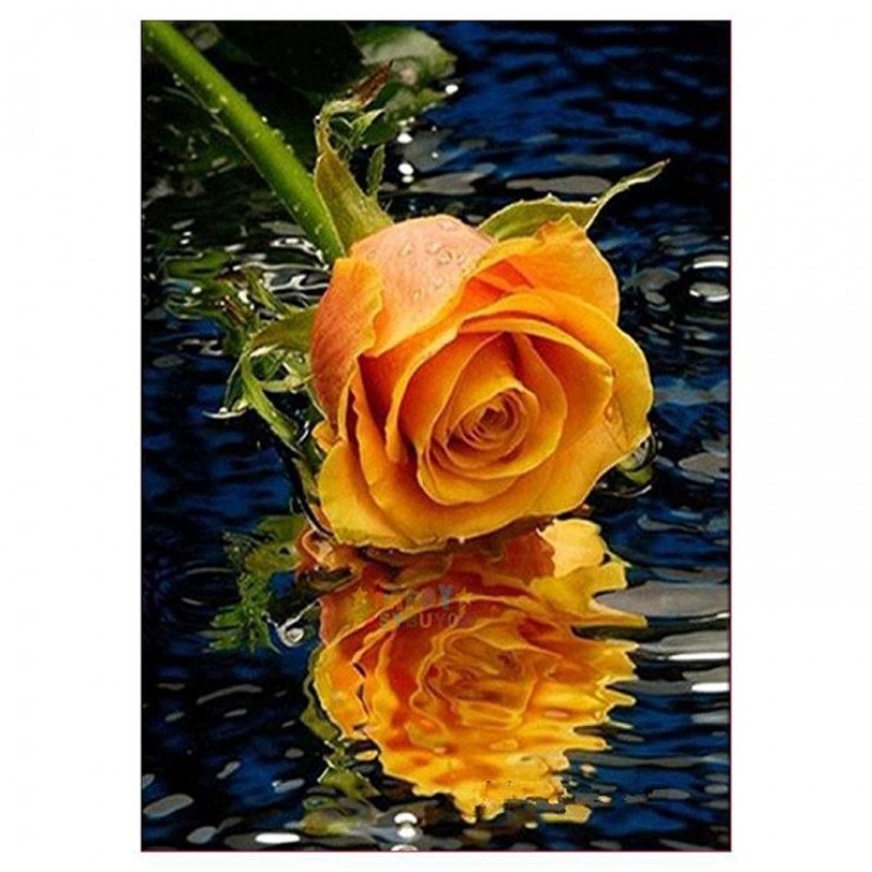 Pretty Gold Rose Wit...